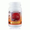 Ganoderma kapszula 90 db, gyógygombával - Gano Excel Ganoderma kapszula 90 db, gyógygombával - Gano Excel
