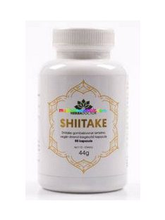 shiitake-gomba-90db-kapszula-lentinus-gyogygomba-herbadoctor