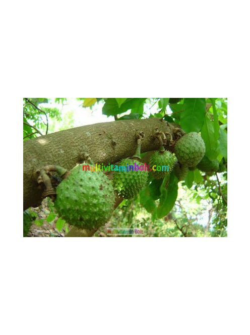 graviola-gyumolcsvelo-500ml-mannavita-presle-annona-bio-juice