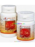 ganoderma-kapszula-90db-ganoexcel