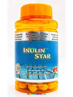 inulin-star-starlife-1g-cikoriabol