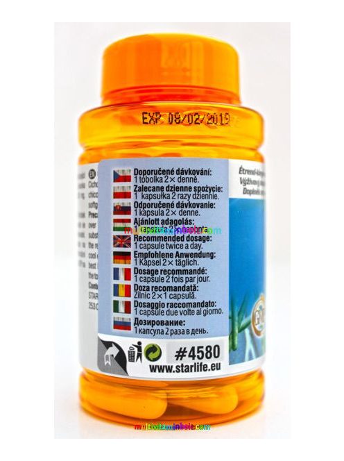 inulin-star-starlife-1g-cikoriabol