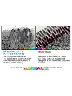 Chela-Ferr-Forte-30-db-kapszula-kelat-szerves-vas-b12-b6-folsav-olimp-labs