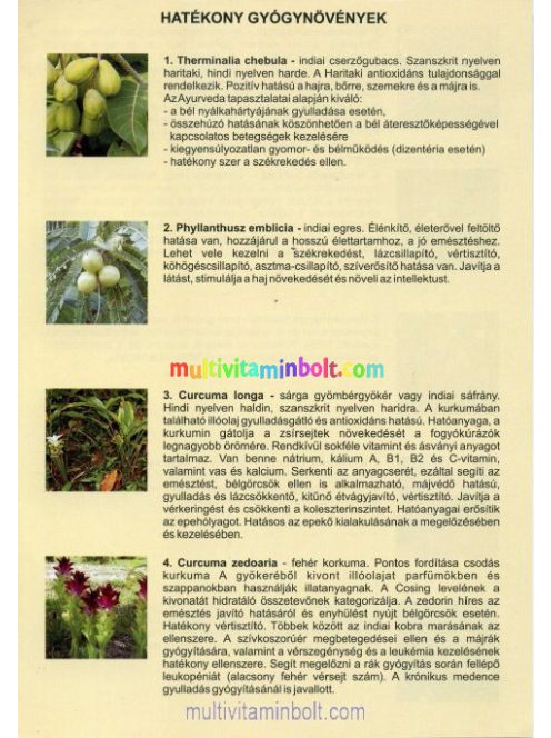 Ayura-Herbal-Cappuccino-instant-1tasak