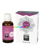 GEISHA-drops-for-women-30-ml-noi-women-izgato-vagyfokozo-cseppek-shiatsu-hot