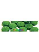 Spirulina-alga-tabletta-mannavita-180db-500mg