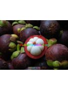 garcinia-star-kapszula-starlife-mangosztan