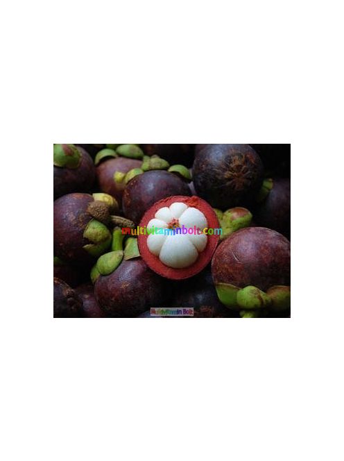 garcinia-star-kapszula-starlife-mangosztan