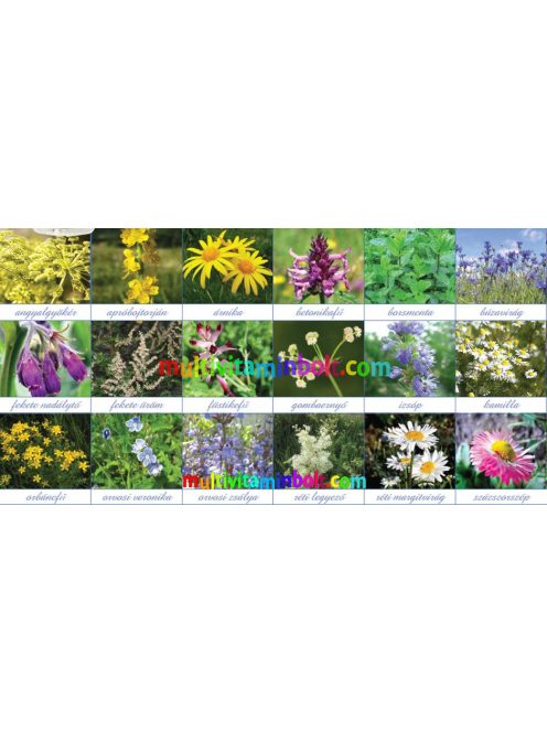 Arquebusade-Water-desztillatum-Arsad-100-ml-75-gyogynoveny-kivonat-fabre-bouet-elixir