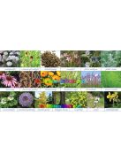 Arquebusade-Water-desztillatum-Arsad-100-ml-75-gyogynoveny-kivonat-fabre-bouet-elixir