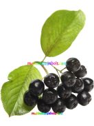 fekete-berkenye-ital-le-mannavita-1000ml