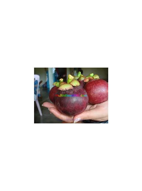 mangosztan-juice-mannavita-500ml-presle-mangostan