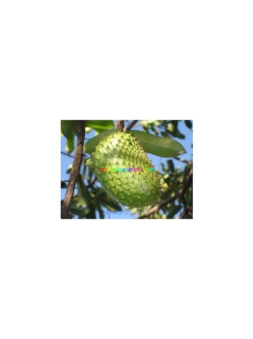 annona-forte-graviola-cseppek-energy-30ml