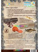 Ginseng-white-4in1-star-instant-kave-300g-gyogygombaval-ginzenggel-Starlife