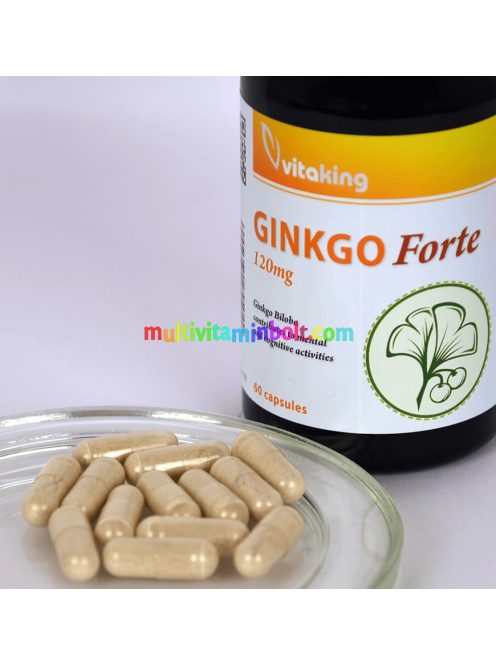 Ginkgo Forte 120mg - 60 kapszula - Vitaking