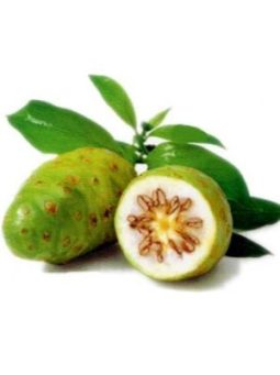 Noni, Aloe Vera, Graviola