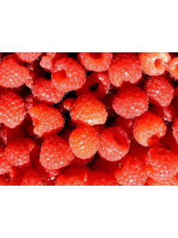 Szeder, Málna, Eper, Szamóca