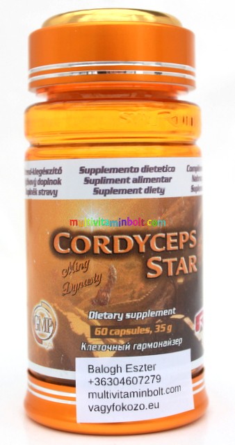 Cordyceps Star 60 db kapszula - Pecsétviaszgomba, hernyógomba, gyömbér - StarLife
